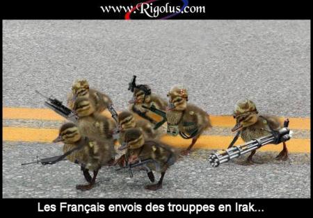 canard