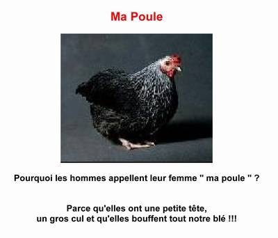 poule