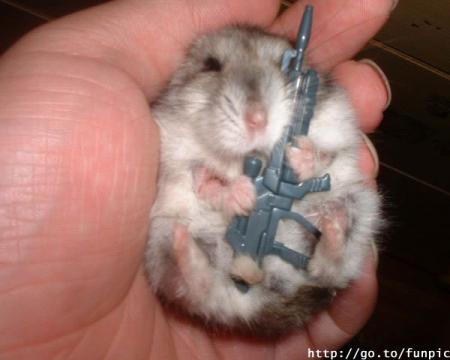 souris